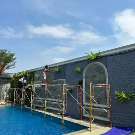 Jasa pembuatan taman vertical