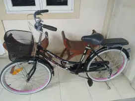 Mini'24 Jieyang WARNA LANGKA Original Ungu Violet
