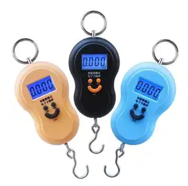 Timbangan Gantung Digital A04 / Portable Electronic Scale 50 Kg