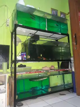 Borongan rak aquarium fullset