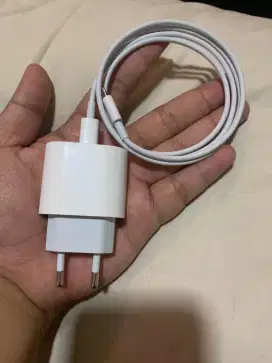 Charger iPhone 12 pro