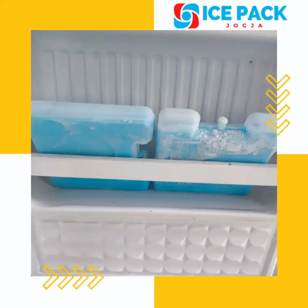 Ice pack / ice gel / ice gell beku siap pakai & cooler bag / coolbox