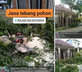 tebang pohon plus pembersihan