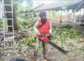 Jasa tebang pohon dan potong rumput termurah di bandung