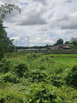 TANAH KAVLING DANAU MAWANG