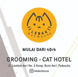 Grooming dan Cat Hotel