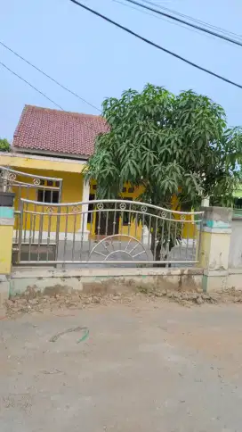 Rumah tanah Luas 600 meter 950 jt cikarang