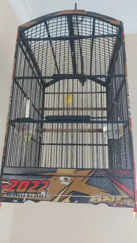 Burung kenari loper