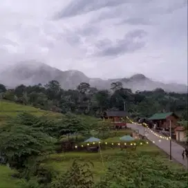 Tanah SHM Nempel Jalan Wisata Alam Puncak 2 Bogor