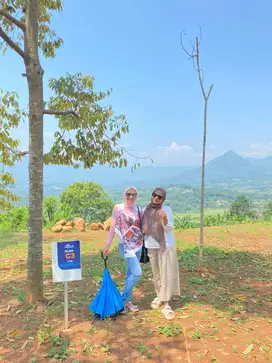 Tanah Kavling Nuansa Alam Golden View Terbaik