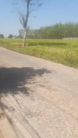 Tanah 1,6 Hektar Zona industri Cibogo Subang