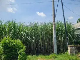 Tanah Idaman di Pelas, Kras, Kediri - Lokasi Strategis