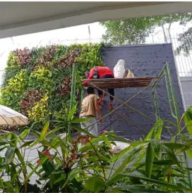 Pembuatan taman vertical garden
