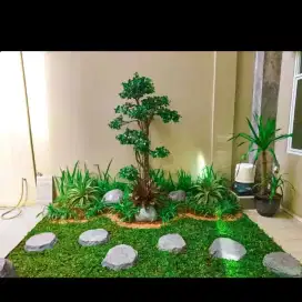 Jual rumput gajah mini,Peking, babat, plus tanam.