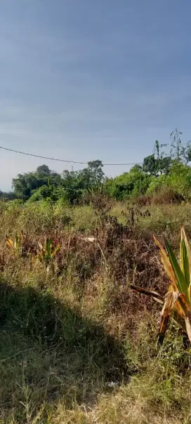 dijual tanah di batu dekat tempat wisata dan cafe