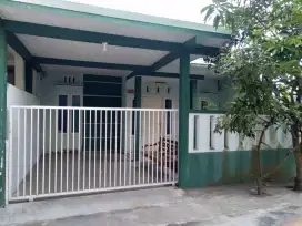 Sewa rumah minimalis lumajang