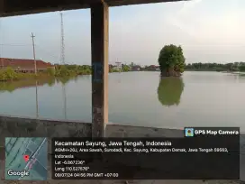 Tanah tambak udang paname 4 hektar (Nego)