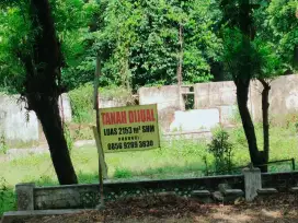 JUAL MURAH TANAH DEPAN JALAN PROVINSI (COCOK UNTUK USAHA)