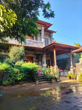 Dijual Rugi Rumah Besar LT 465m2 Celukan Bawang Buleleng Bali Bisa KPR