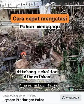 tebang pohon plus pembersihan