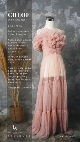 CHLOE GOWN in Nude Pink