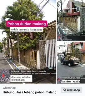 jasa tebang pilih kota malang