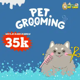 Menerima grooming kucing & kelinci area sawotratap dan sekitarnya