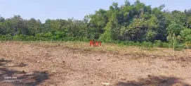 Jual tanah cocoknya buat makam luas 5000mtr harga 250rb/m nego