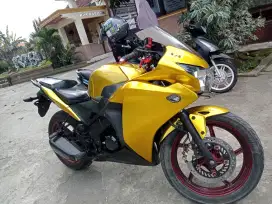 Bismillah,,si kuning sedang mencari jodoh