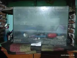 DI JUAL AKURIUM KOMPLIT