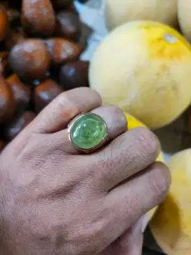 Bukan bacan Cincin lumut kumbang jati dim 17,5x15x8  RING PERAK