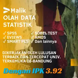 Olah Data Statistik Skripsi, Thesis, Eviews, SPSS, SMART PLS, dll