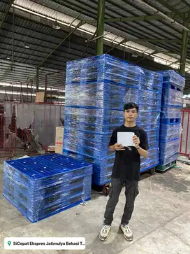 Pallet plastik palet plastik