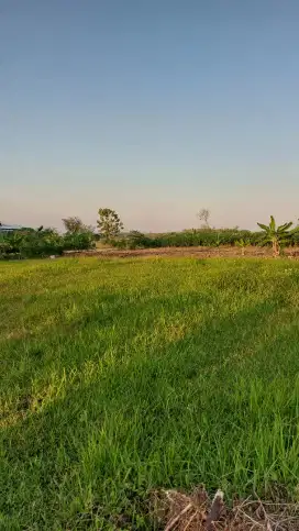 Tanah 6 Hektar di 0 jalan raya Provinsi