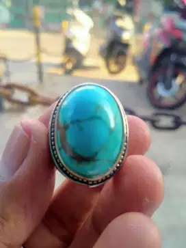 Pirus Persia Natural