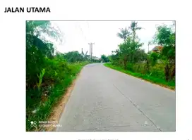 Dijual tanah Luas 150 hektare sukawangi bekasi