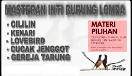 memori master an burung lomba