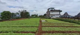 Tanah Murah di Cibiru Bandung siap bangun