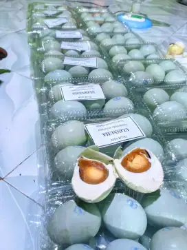 Grosir telur asin