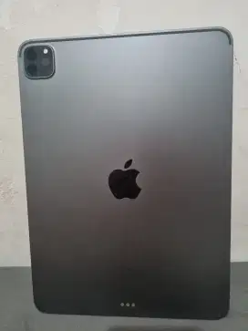 iPad Pro M1 11inch 256GB