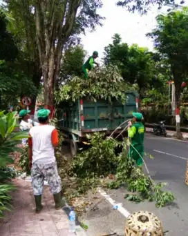 Jasa tebang pohon