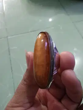 Pandan nanas sisik betok