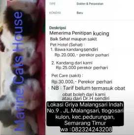 Penitipan Peliharaan / kucing