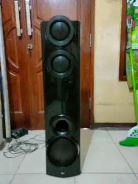 Subwoofer LG Pasif  1 unit Pasif