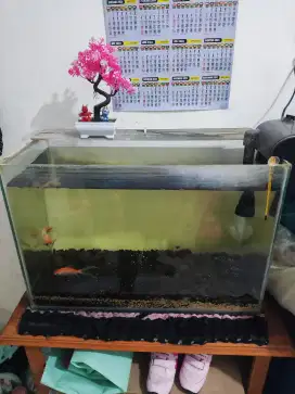 Aquarium set filter