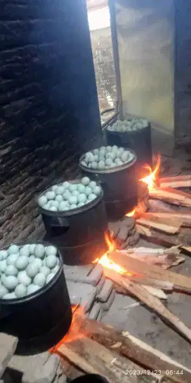 Telur asin masir pulen