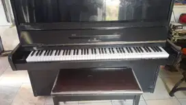 Piano schimmel germany