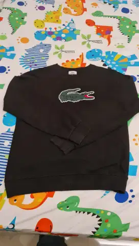 Crewneck Lacoste warna hitam pekat size L