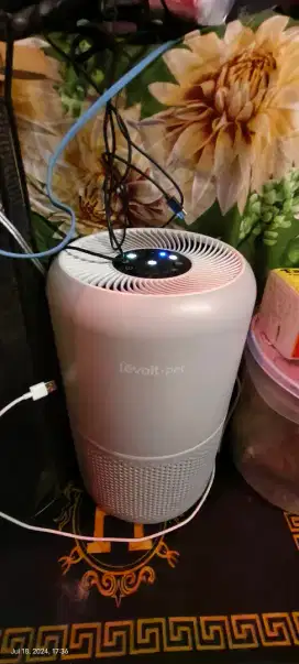 Levoit Pet 350 for per