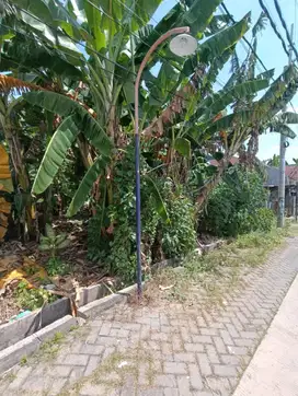 Langka Kavling Tanah Pusat Kota Surabaya Praban Wetan Baliwerti 800jta